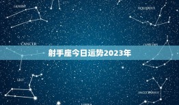 射手座今日运势2023年，高人射手座2023