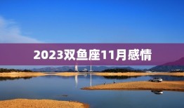 2023双鱼座11月感情，双鱼座2023年最终感情归宿