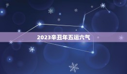 2023辛丑年五运六气，2023年是辛丑牛年吗