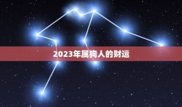 2023年属狗人的财运(展望财富源于何方)