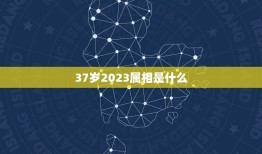 37岁2023属相是什么，求2023年生肖年龄对照表？