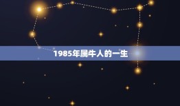 1985年属牛人的一生，1985年属牛女人一辈子有几次婚姻