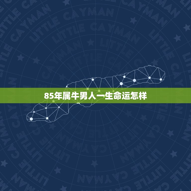 85年属牛男人一生命运怎样，1985年属牛人一生运程