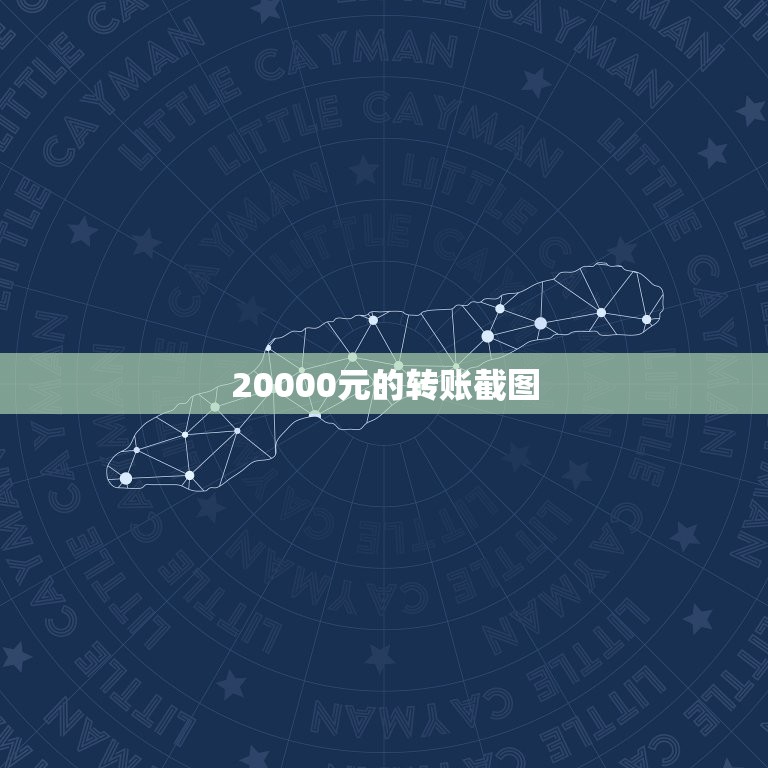 20000元的转账截图，求一张微信零钱两万多截图