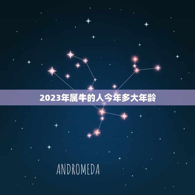 2023年属牛的人今年多大年龄，属牛的今年多大