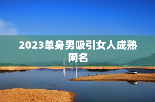 2023单身男吸引女人成熟网名，30岁男人用的网名，成熟点的…谢谢，急