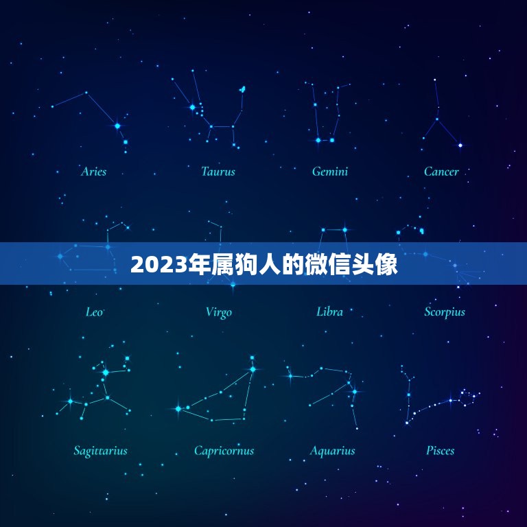 2023年属狗人的微信头像，2016年各生肖一月用什么微信头像好