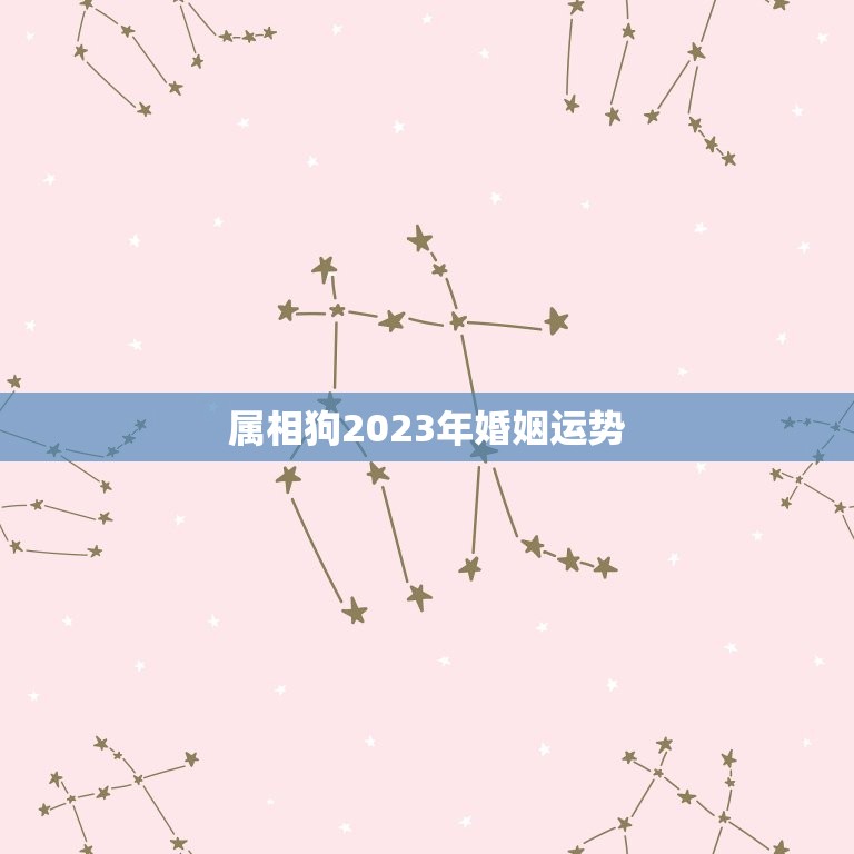 属相狗2023年婚姻运势，属狗今年婚姻运势如何的最新相关信息