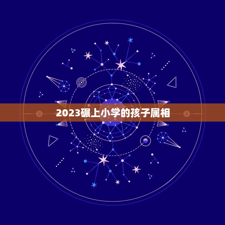 2023碾上小学的孩子属相，2023年的属相是什么生肖