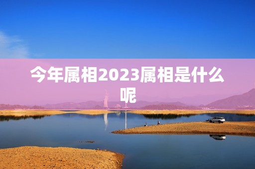 今年属相2023属相是什么呢，2023年的属相是什么生肖