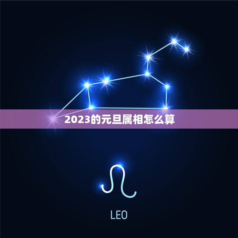 2023的元旦属相怎么算，即将到来的元旦是说2019年的还是2023年