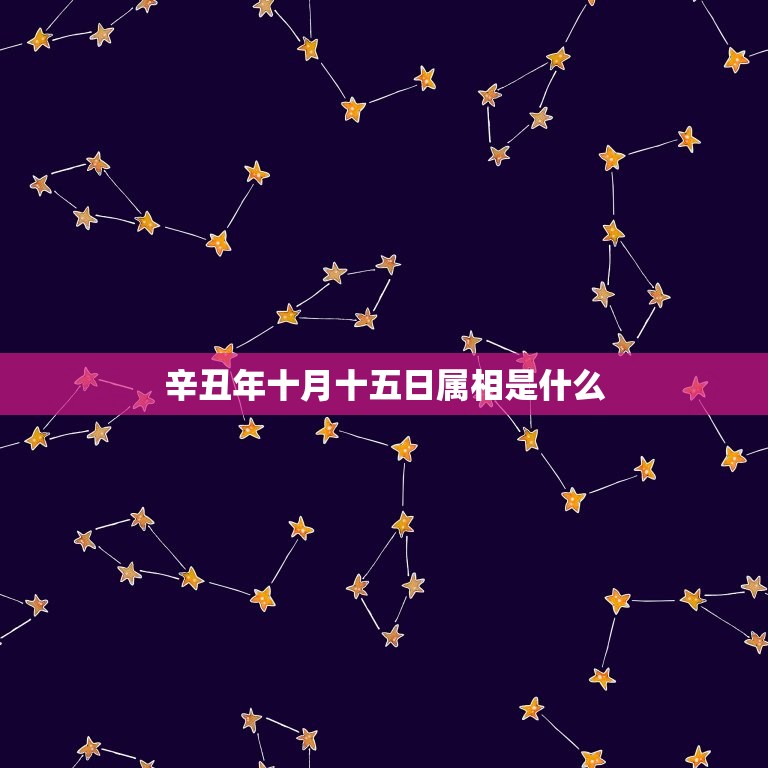 辛丑年十月十五日属相是什么，2023年辛丑年五行属什么