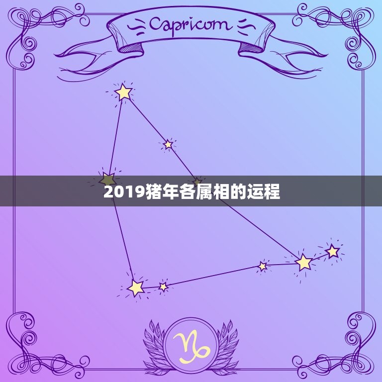 2019猪年各属相的运程，2019十二生肖运势详解