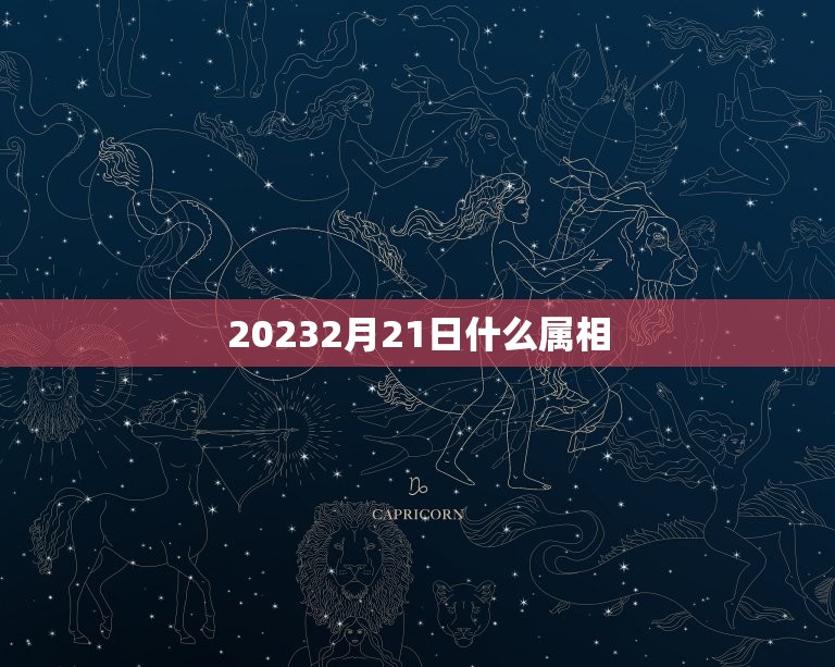 20232月21日什么属相，2023年01月04日是什么属相？