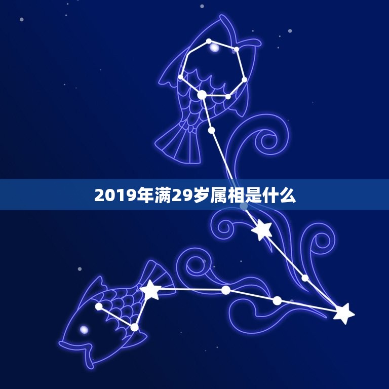 2019年满29岁属相是什么，2019年，29岁是九几年的？属什么生肖