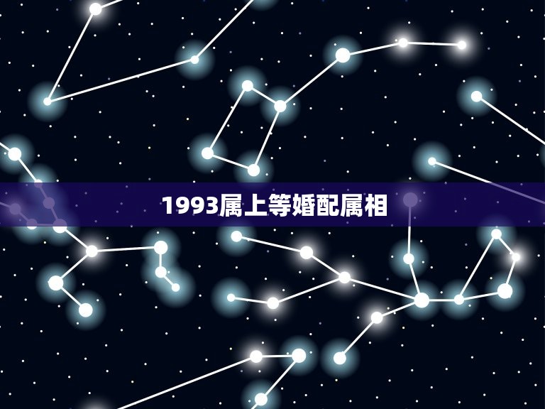 1993属上等婚配属相，93年属合适找个什么生肖的对象