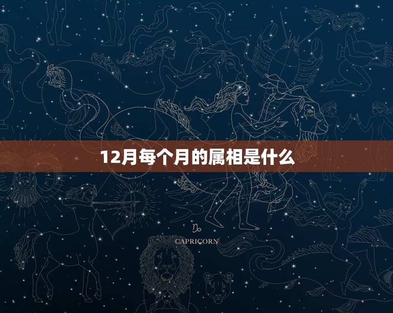 12月每个月的属相是什么，我想问下一月至十二月份的生肖月是分别是什么？