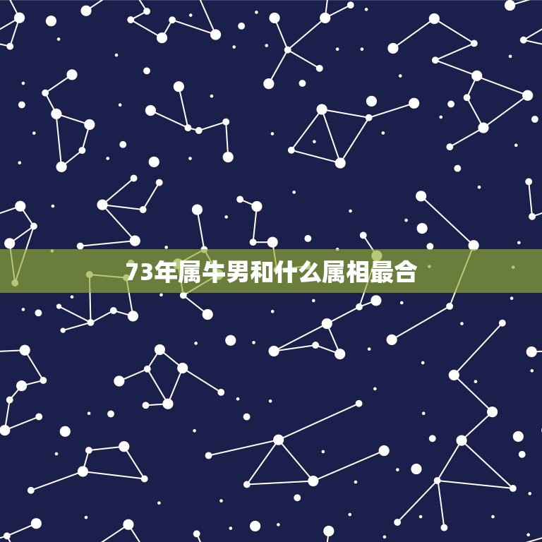 73年属牛男和什么属相最合，73年属牛的男士2015年工作和什么属相合