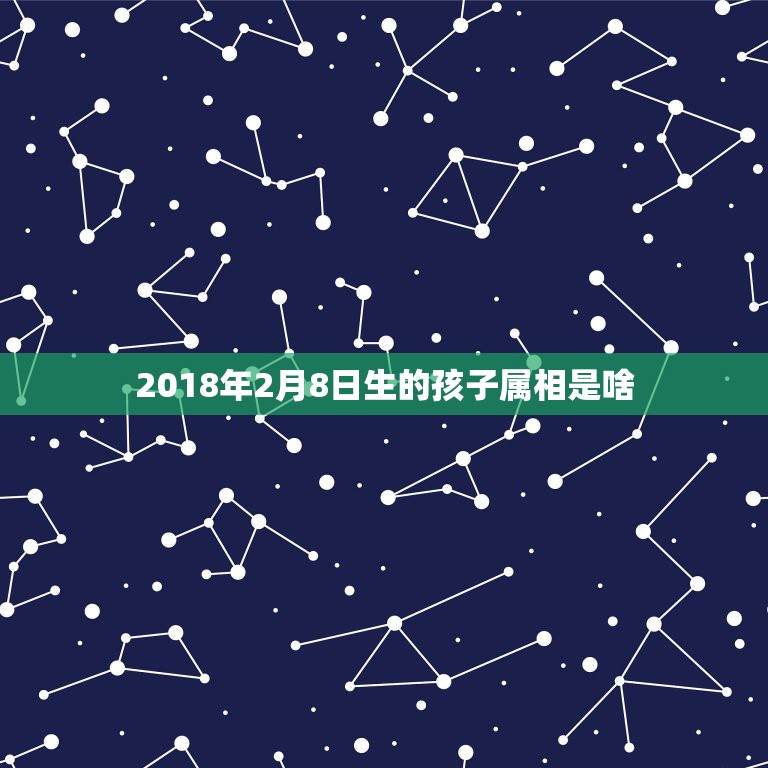 2018年2月8日生的孩子属相是啥，老公属龙1976年2月8日生，水瓶