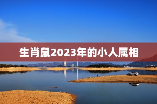 生肖鼠2023年的小人属相，属鼠人2023年全年运势详解