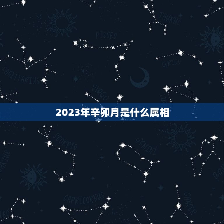 2023年辛卯月是什么属相，2023年正月二十四用干支历为什么是辛卯月