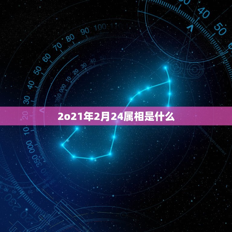 2o21年2月24属相是什么，2023年3月15日生肖运势