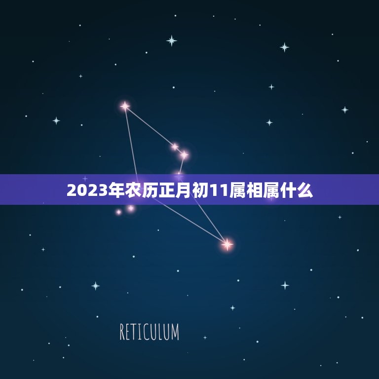 2023年农历正月初11属相属什么，2023年初一属什么生肖  第1张