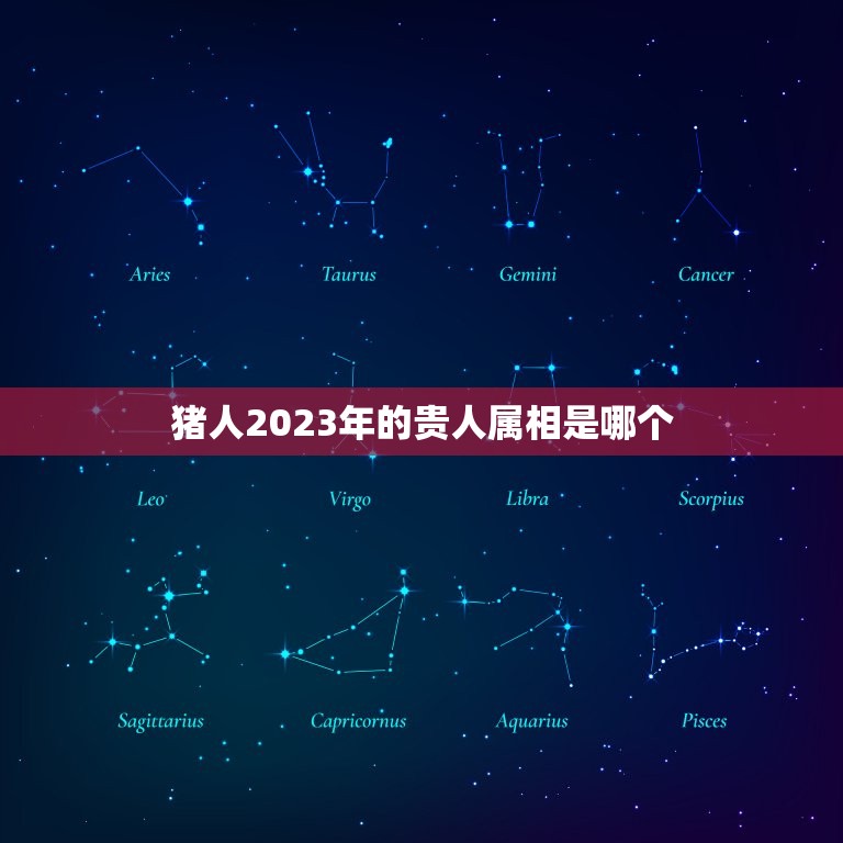 猪人2023年的贵人属相是哪个，属猪的贵人是什么属相