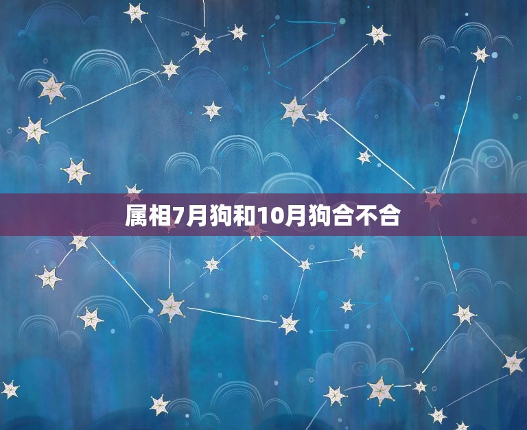 属相7月狗和10月狗合不合，属相六月的狗和十月的鸡好不好