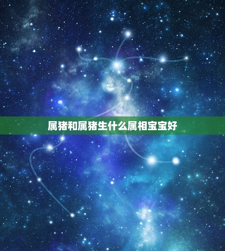 属猪和属猪生什么属相宝宝好，属猪的人生什么属相的宝贝好？