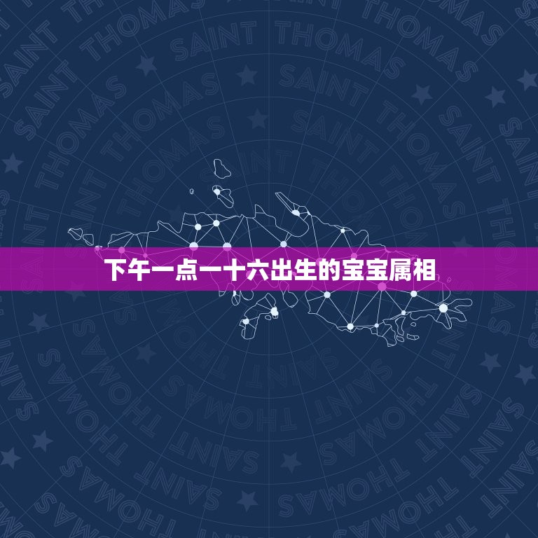 下午一点一十六出生的宝宝属相，农历2011年1月12日下午16点16分