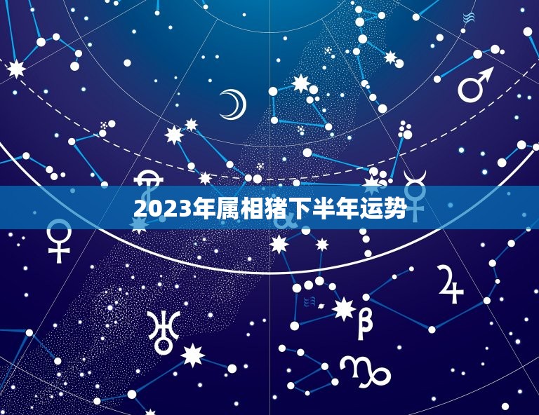 2023年属相猪下半年运势，2023猪人全年运势