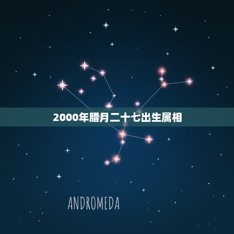 2000年腊月二十七出生属相，2023年腊月二十七属什么生肖