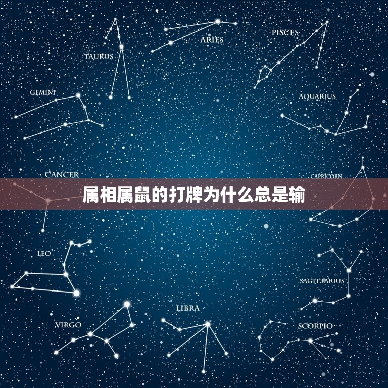 属相属鼠的打牌为什么总是输，本属鼠老是为什麼输钱