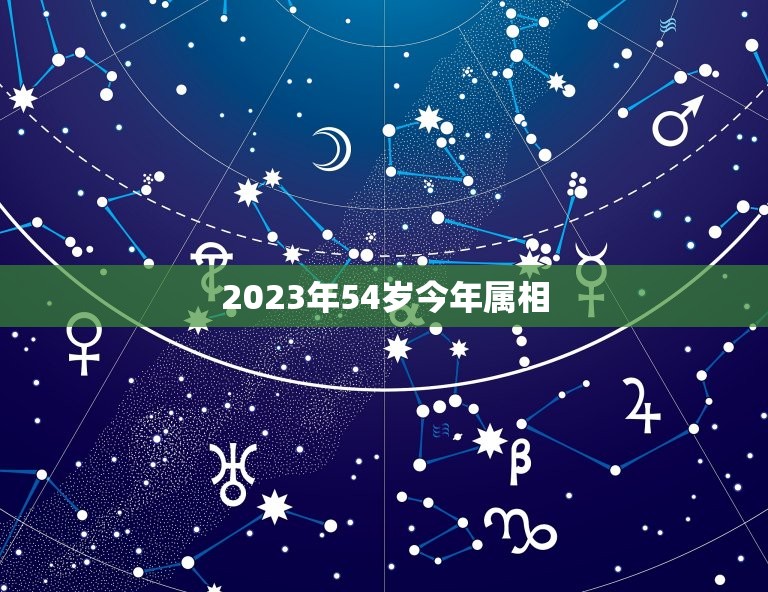 2023年54岁今年属相，今年属相2023属相