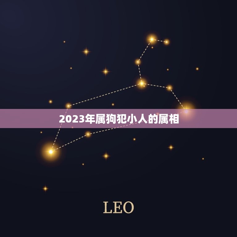 2023年属狗犯小人的属相，属狗人在2018年会有怎样的运势？