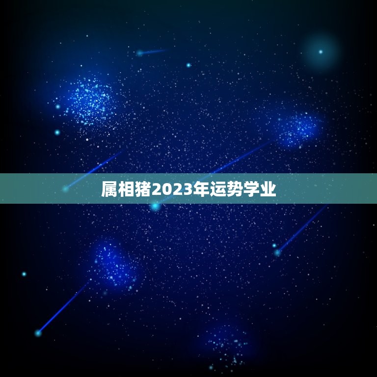 属相猪2023年运势学业，2023属猪人全年运势1971