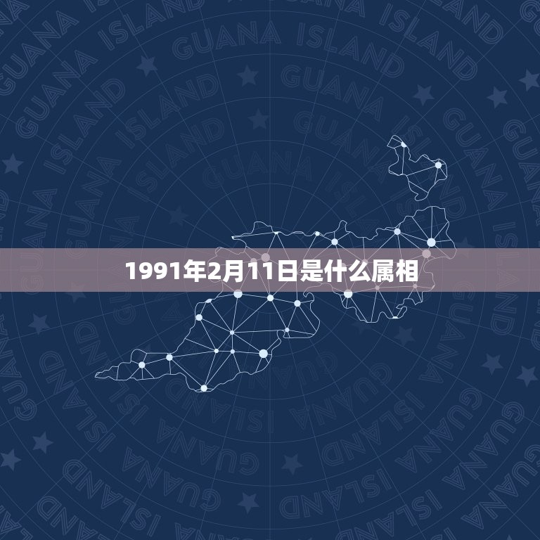 1991年2月11日是什么属相，1991年2月11日出生属什么？马还是