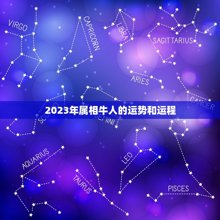 2023年属相牛人的运势和运程，属鼠牛年运势2023年运程