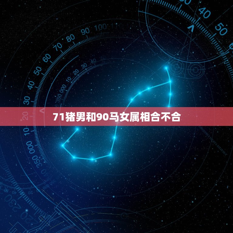 71猪男和90马女属相合不合，71猪和90年马能在一起吗