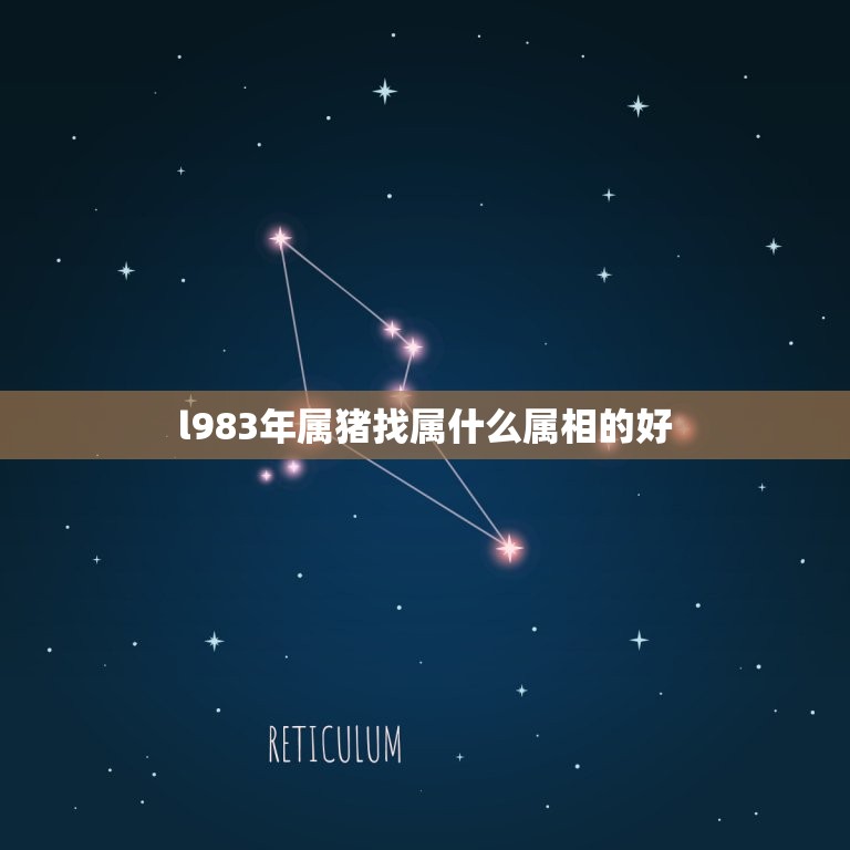 l983年属猪找属什么属相的好，83年属猪的人，流年是哪几年？娶什么属