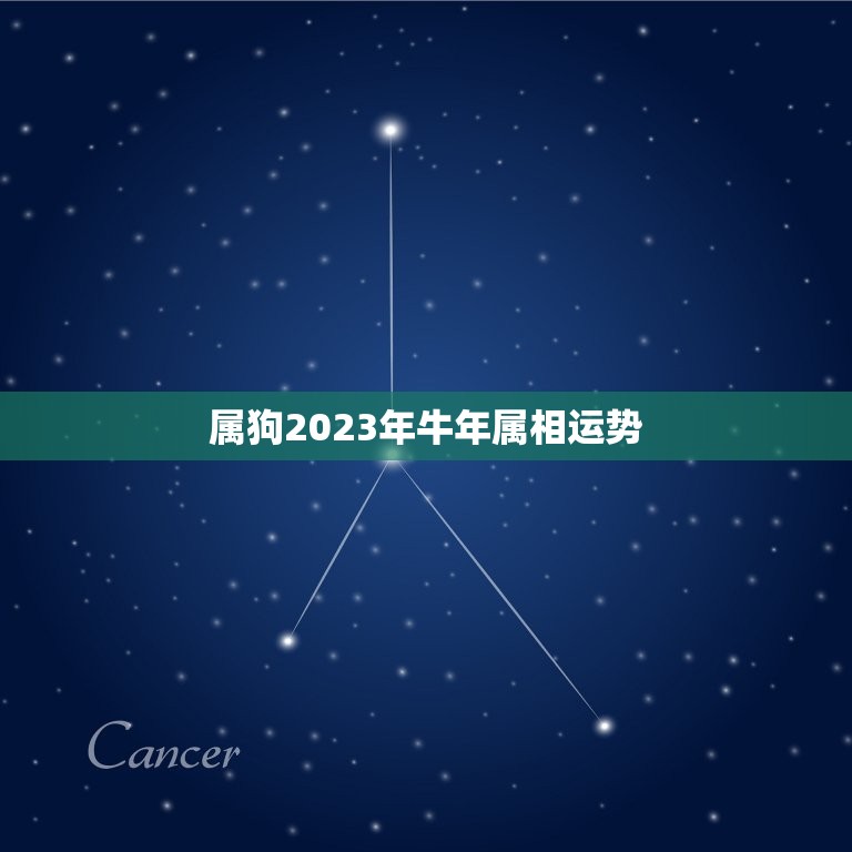 属狗2023年牛年属相运势，属狗2023年运势及运程每月运程