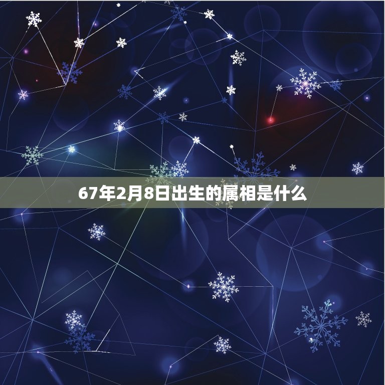 67年2月8日出生的属相是什么，公历1967年2月8日出生的人生肖什么