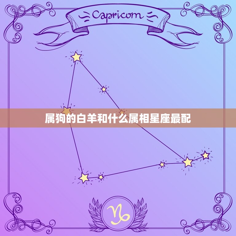 属狗的白羊和什么属相星座最配，属狗的白羊座和什么配