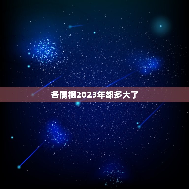 各属相2023年都多大了，2023年十二生肖年龄对照表