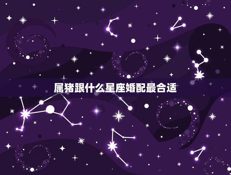 属猪跟什么星座婚配最合适，属猪的天蝎座和哪个生肖星座最配