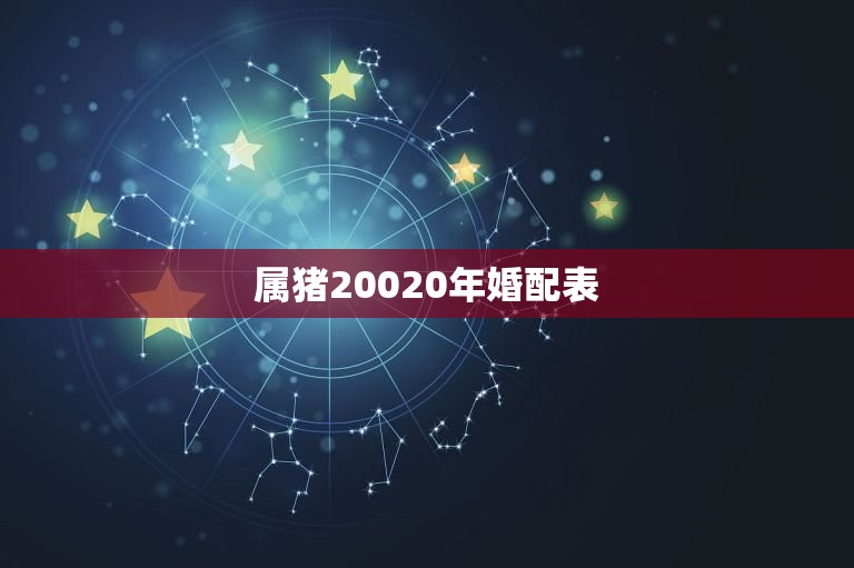 属猪20020年婚配表，属猪的属相婚配表