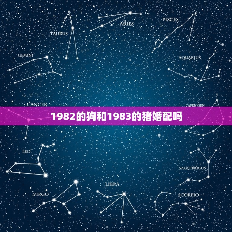 1982的狗和1983的猪婚配吗，83年属猪的和82年属狗的这两个人结