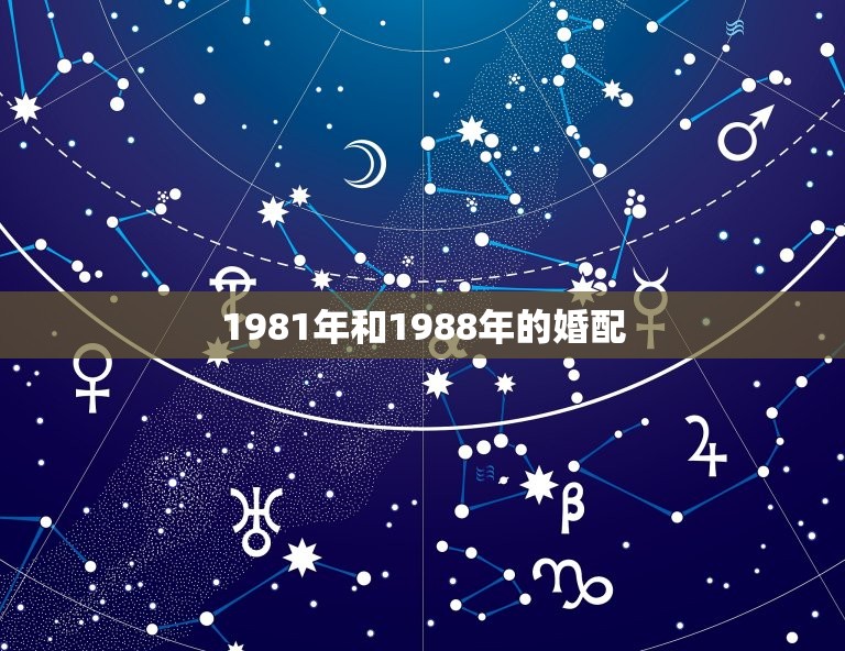 1981年和1988年的婚配，81年属鸡的和88年属龙的能不能在一起，