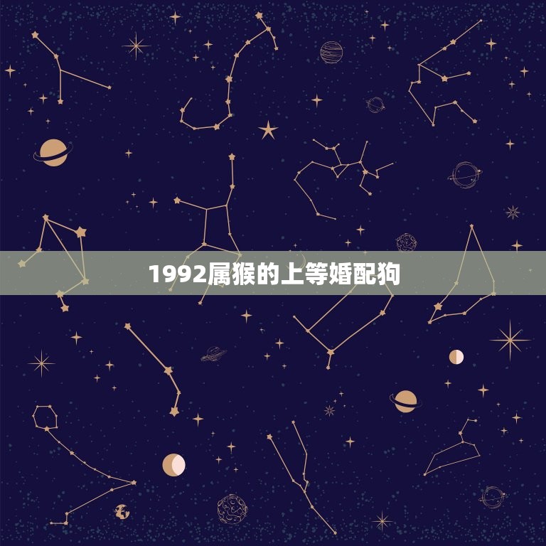 1992属猴的上等婚配狗，1992年属猴和1994年属狗的合不合婚